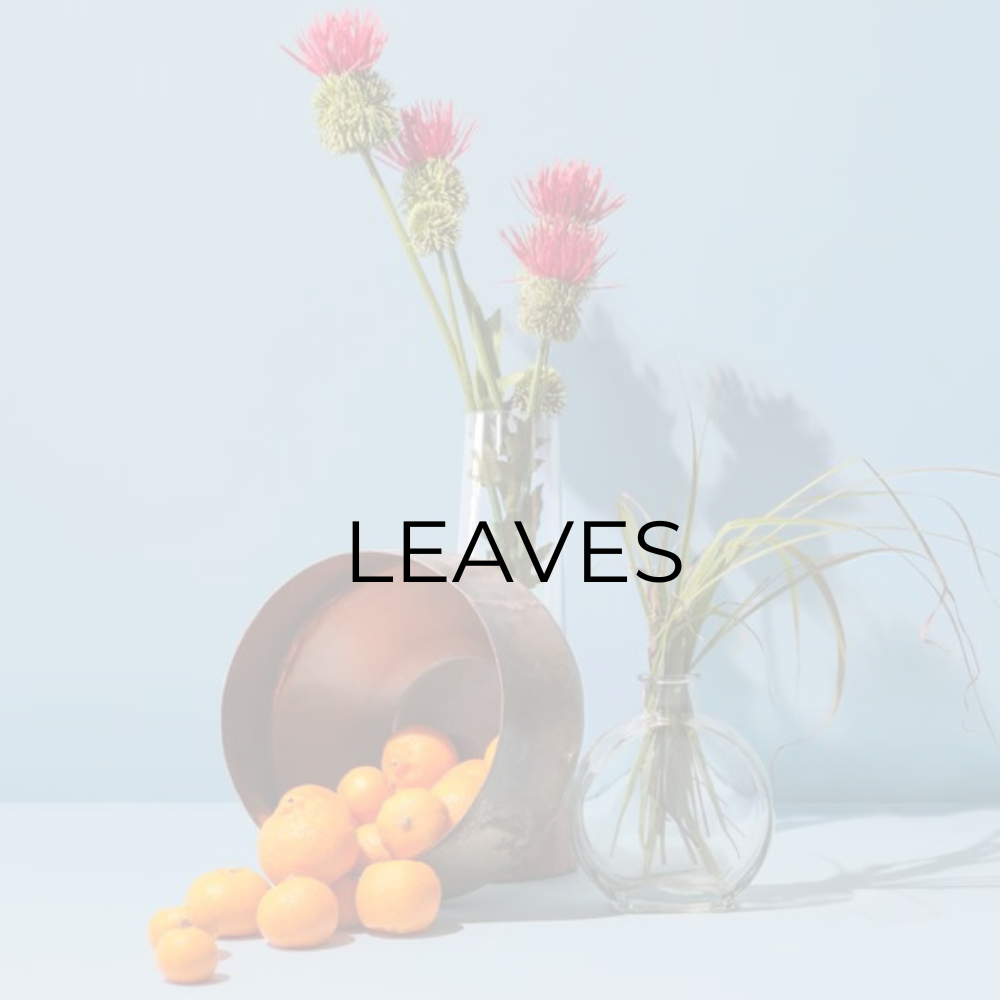 Leaves (Fragrance Oil for Diffusers)