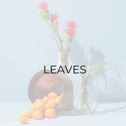 Leaves (Fragrance Oil for Diffusers)