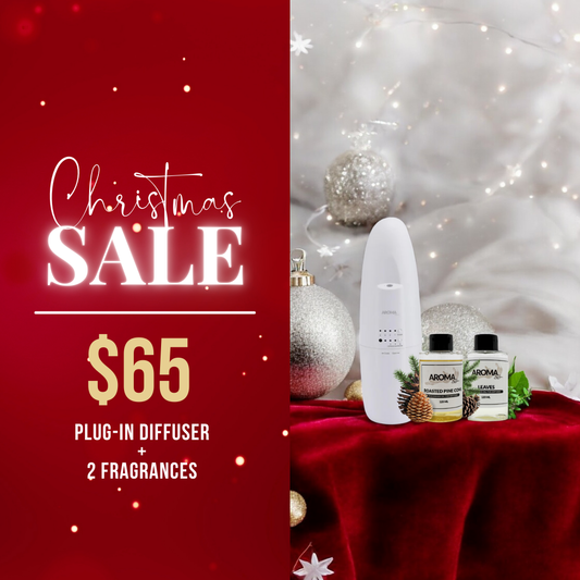 Plug-In (Christmas Sale)